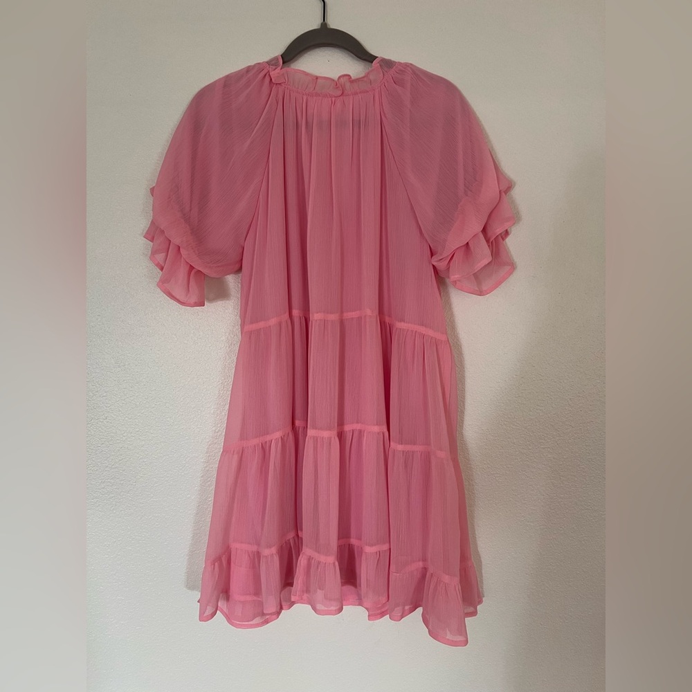 Pink Sheer Ruffle Dress - Picture 4 of 5